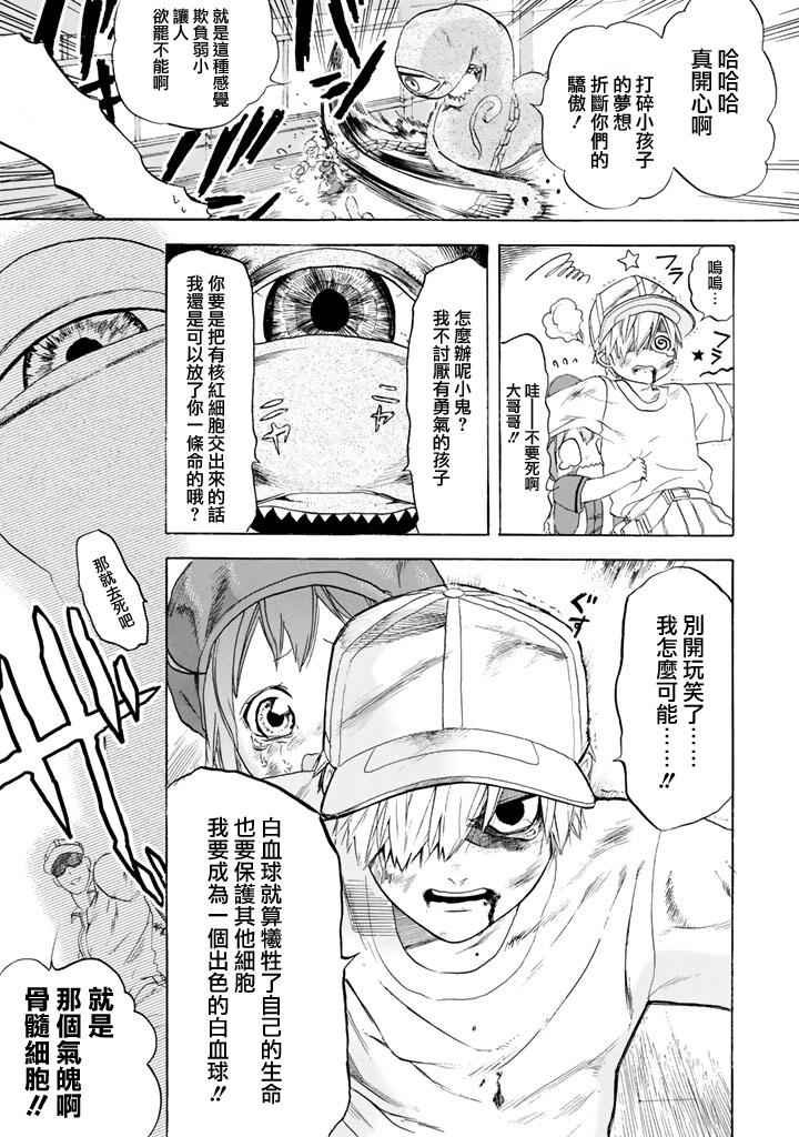第7话 有核红细胞和骨髓细胞