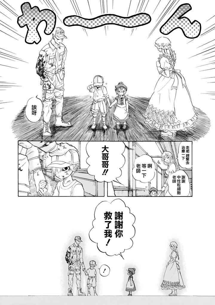 第7话 有核红细胞和骨髓细胞