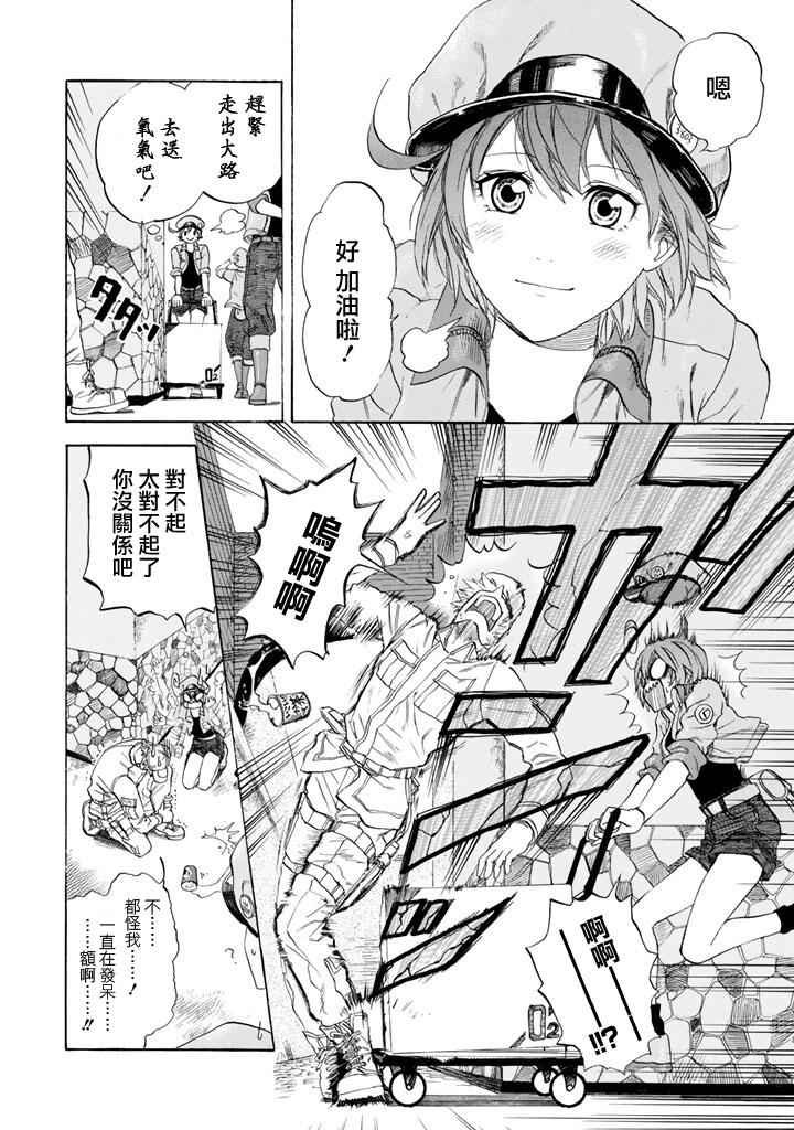 第7话 有核红细胞和骨髓细胞