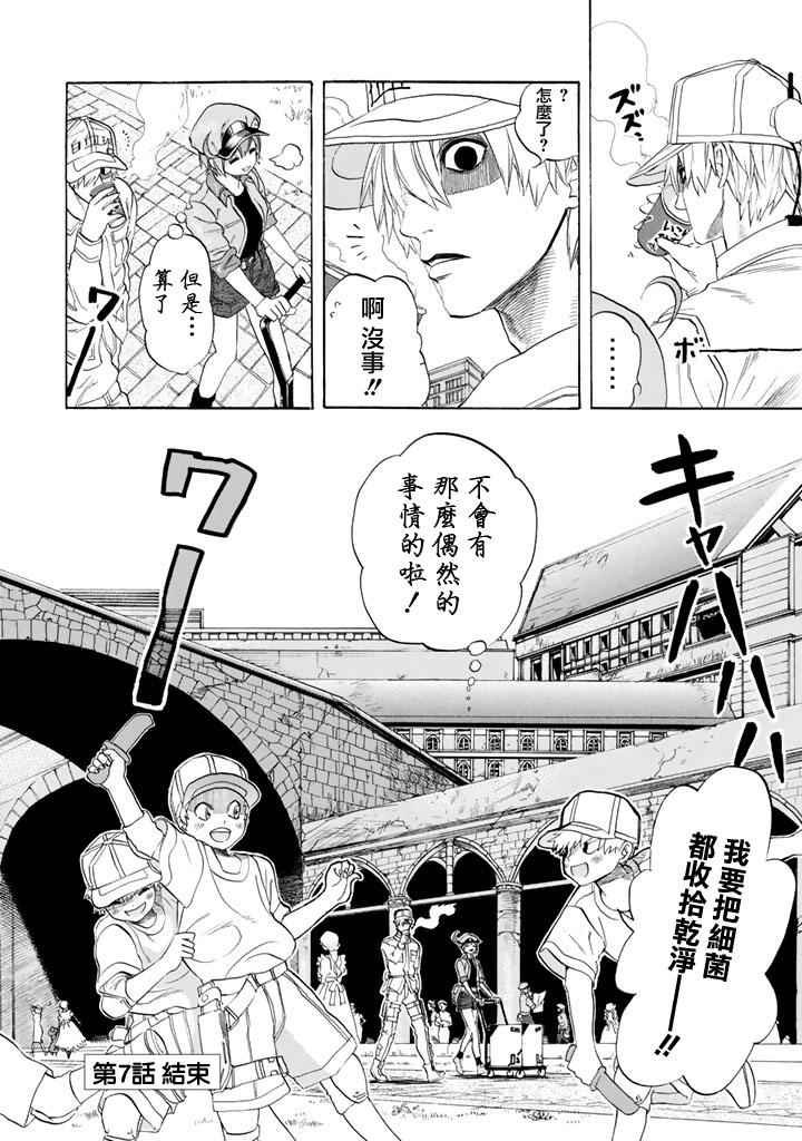 第7话 有核红细胞和骨髓细胞