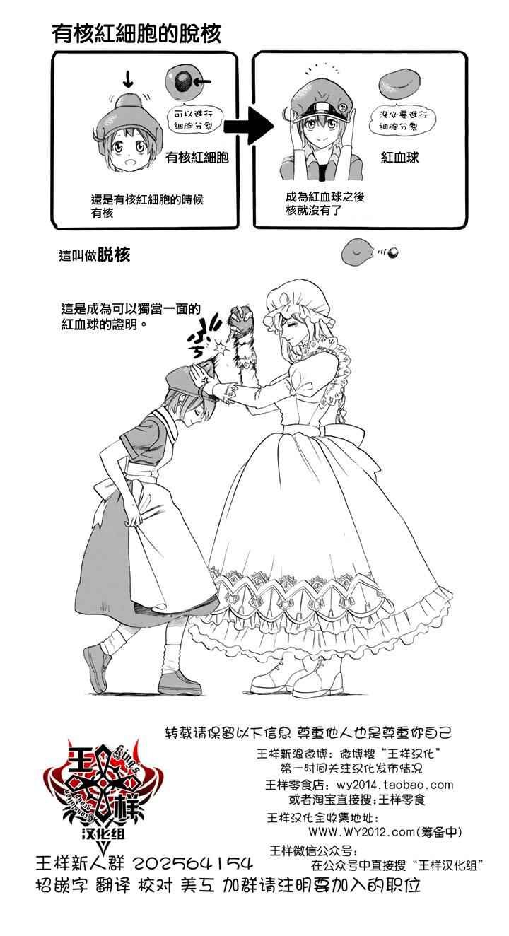 第7话 有核红细胞和骨髓细胞