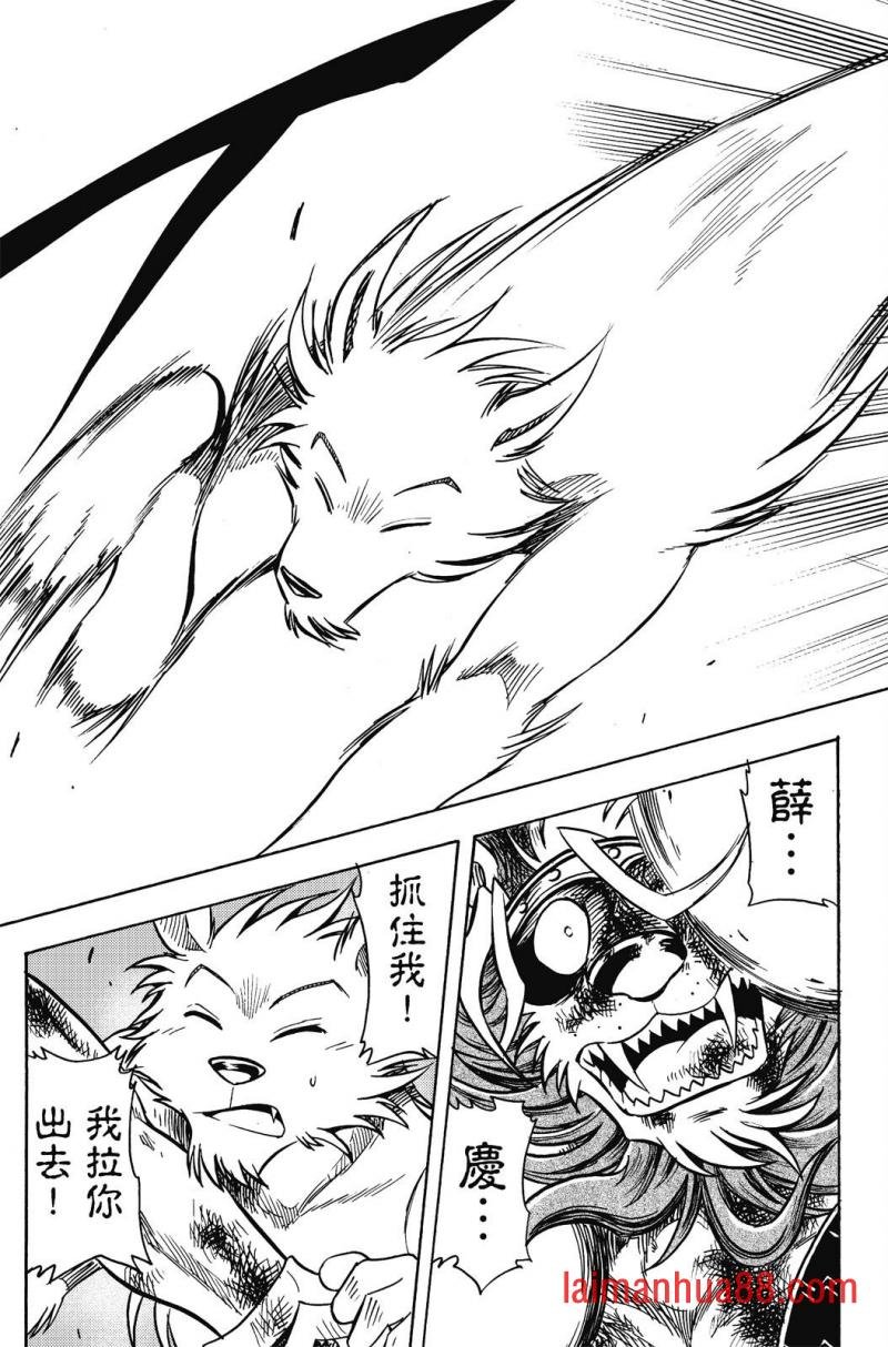第19卷