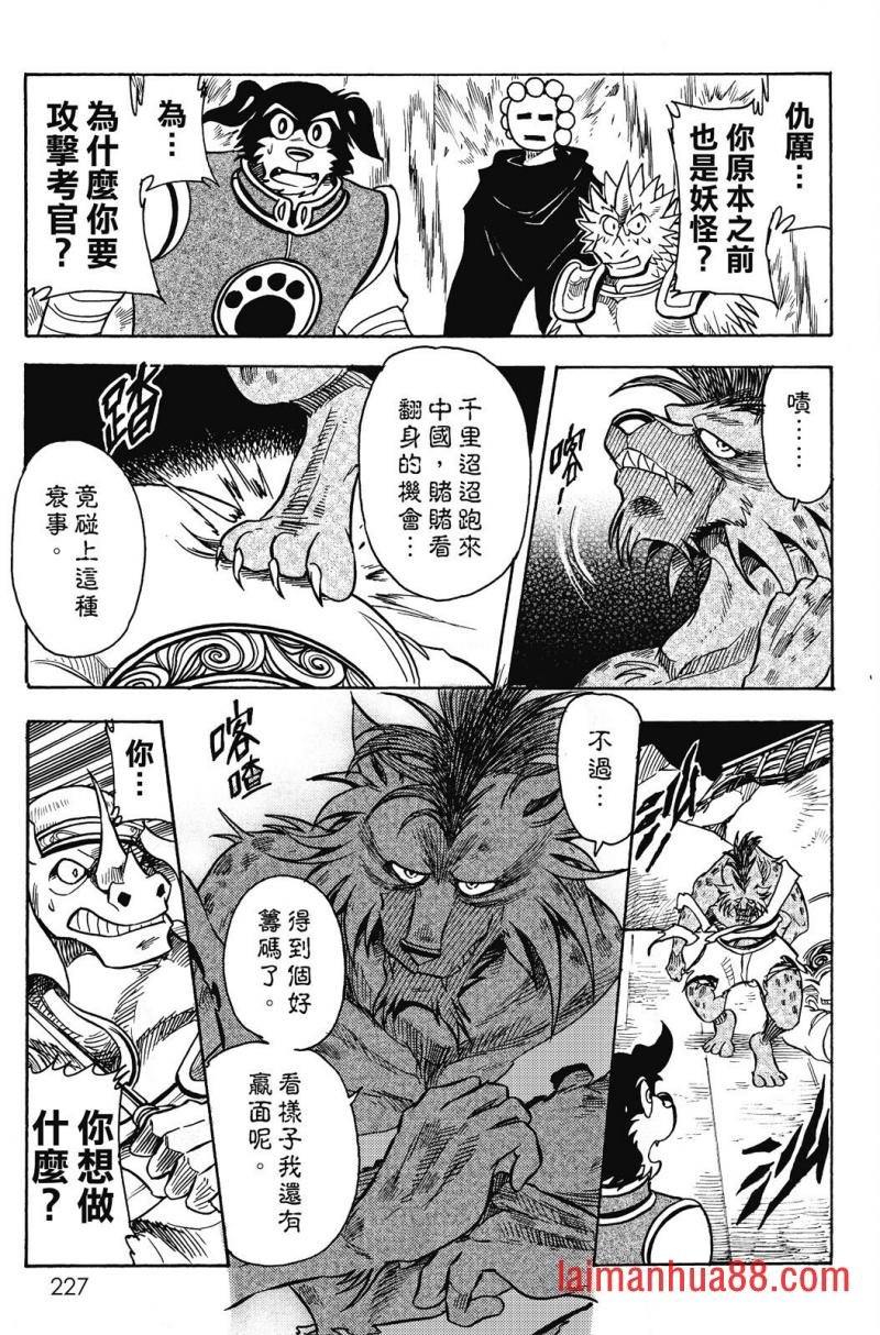 第19卷
