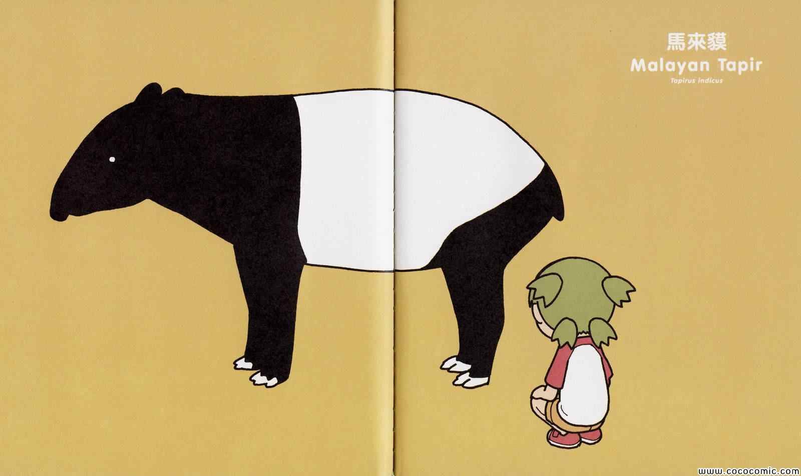 四叶妹妹 绘本
