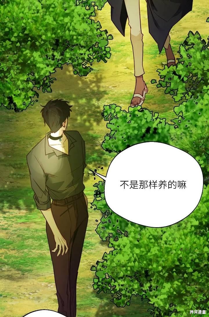 第100话