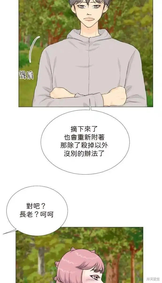 第121话