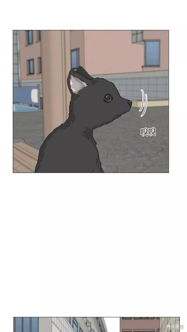第92话