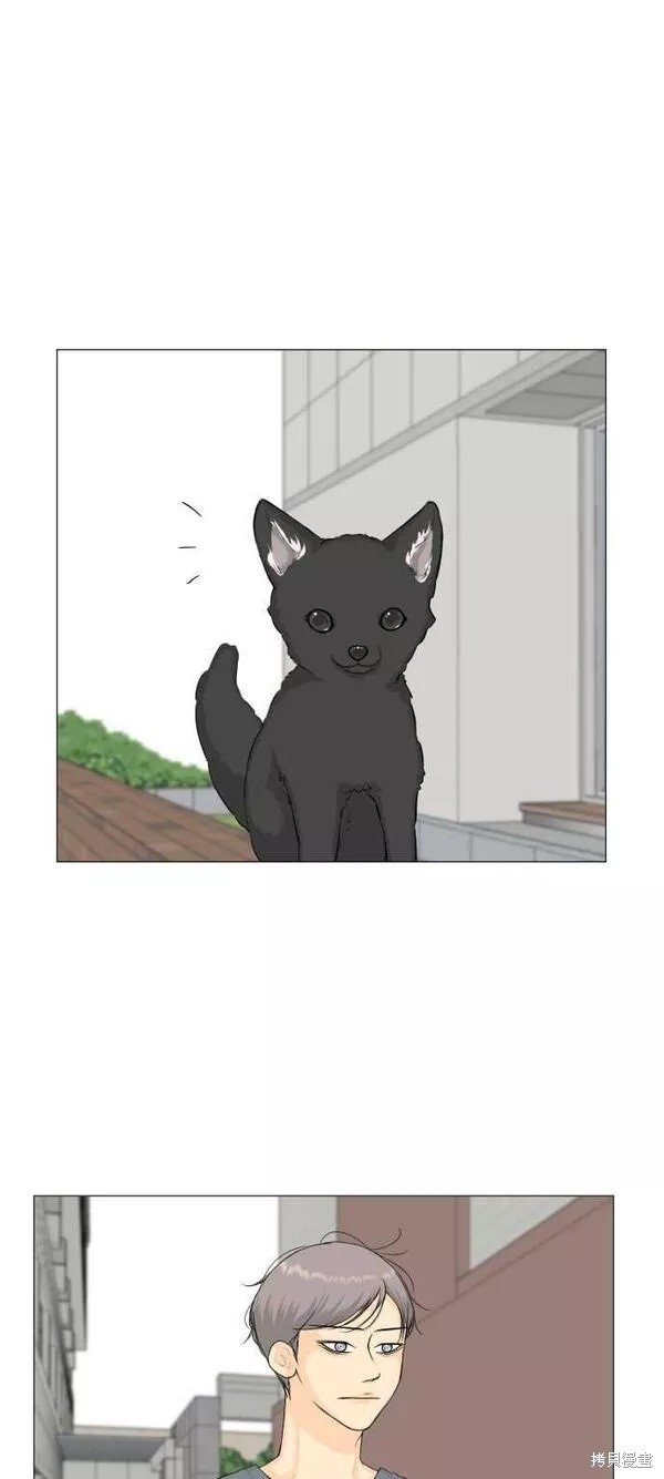 第92话