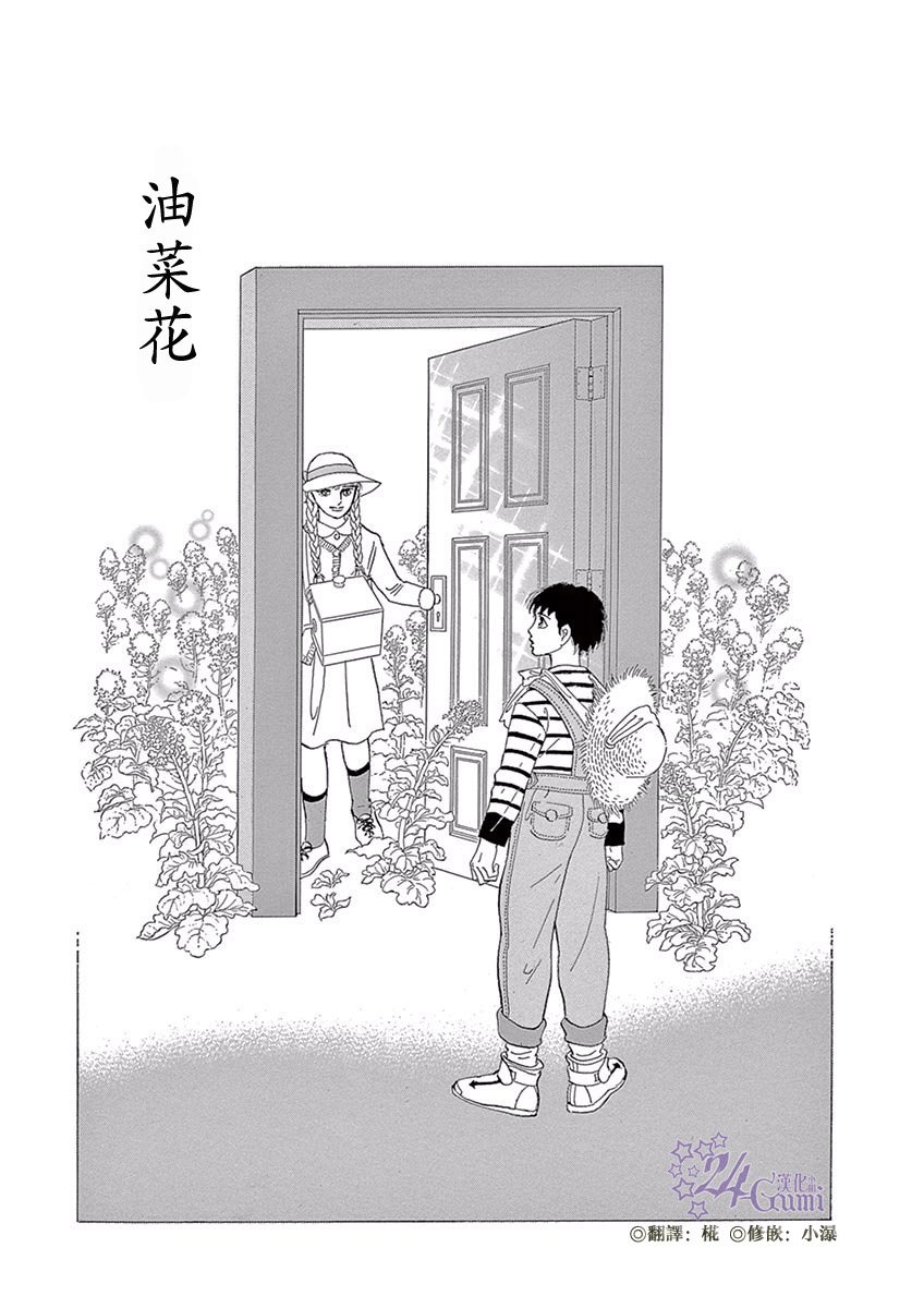 油菜花