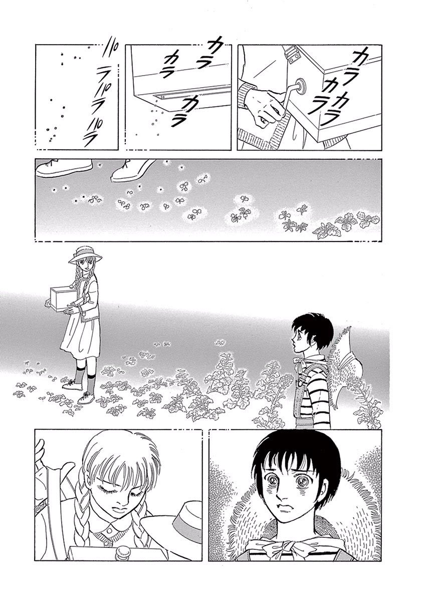 油菜花