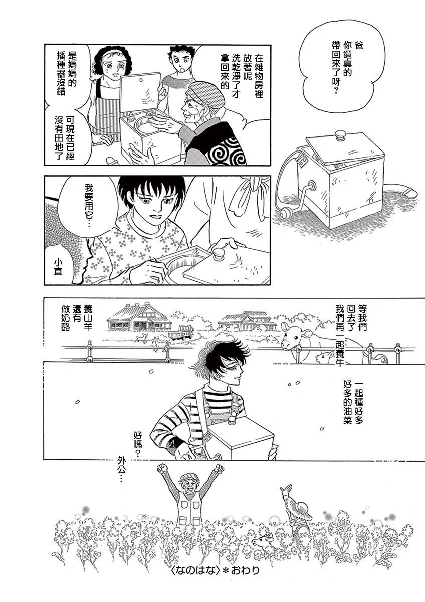 油菜花