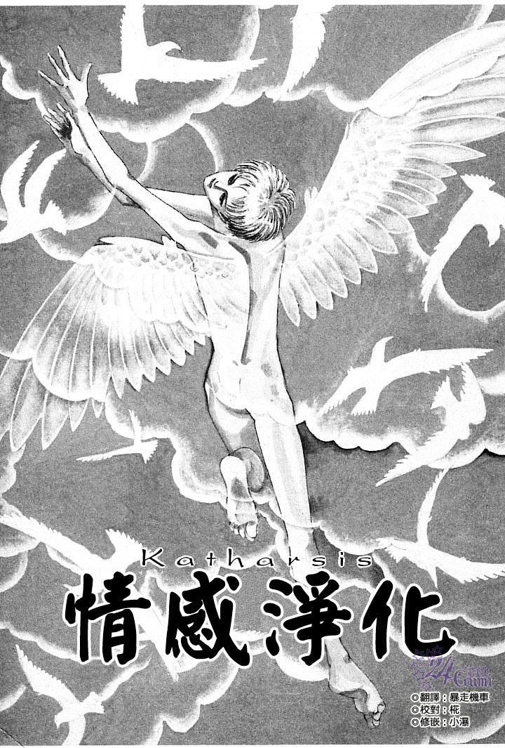 情感净化