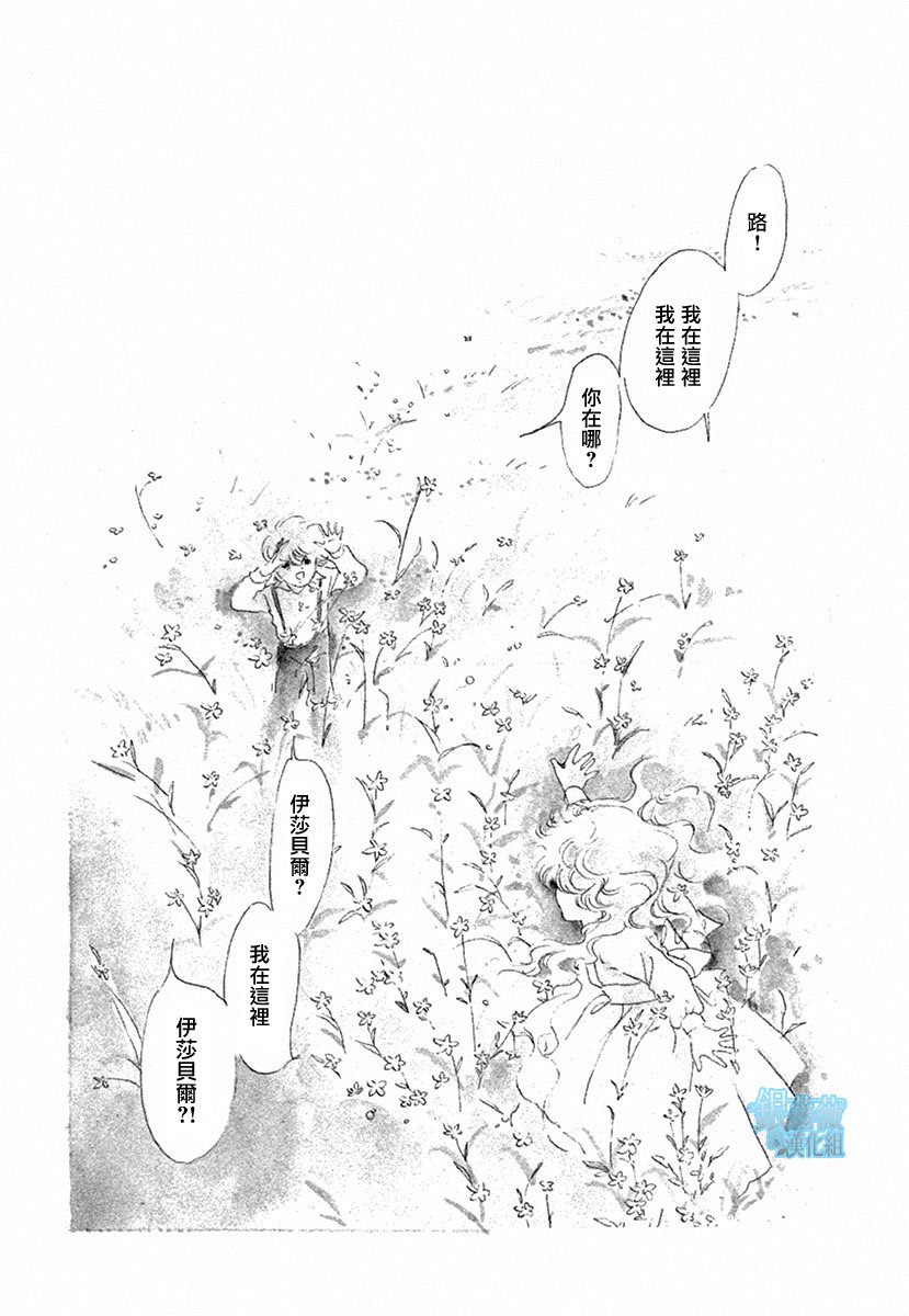 在光与花之中