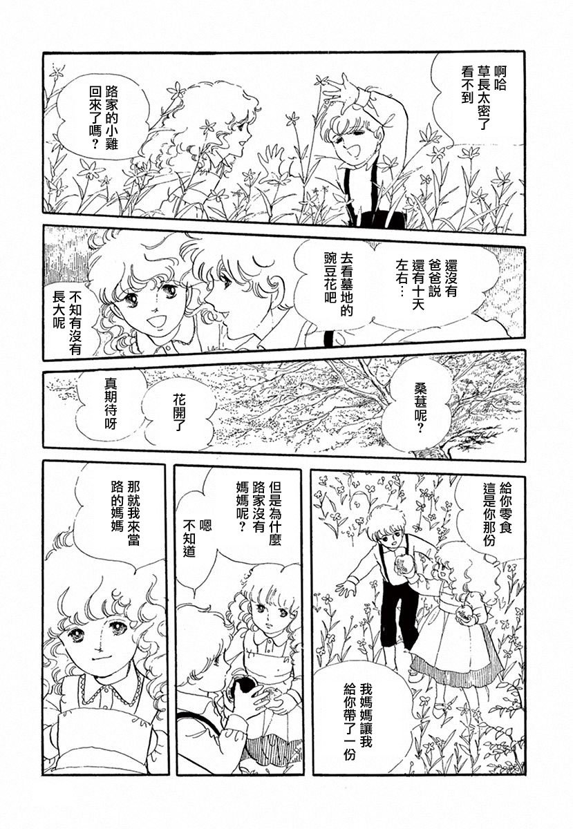 在光与花之中