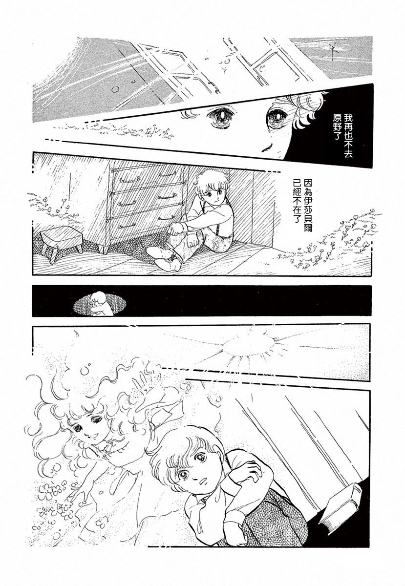 在光与花之中