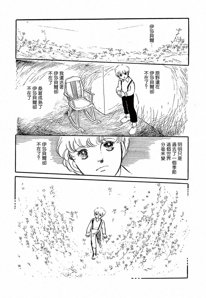 在光与花之中