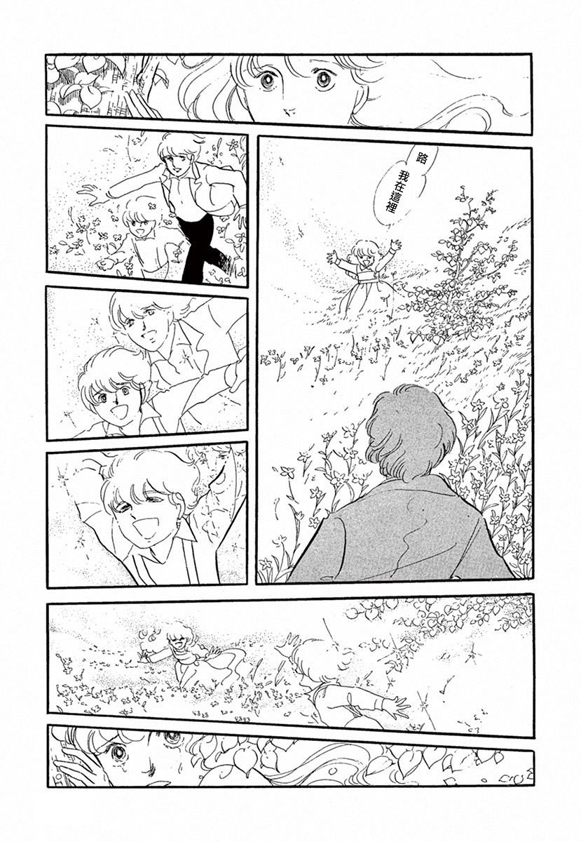 在光与花之中