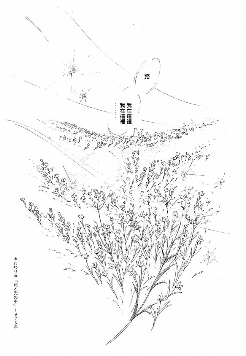 在光与花之中