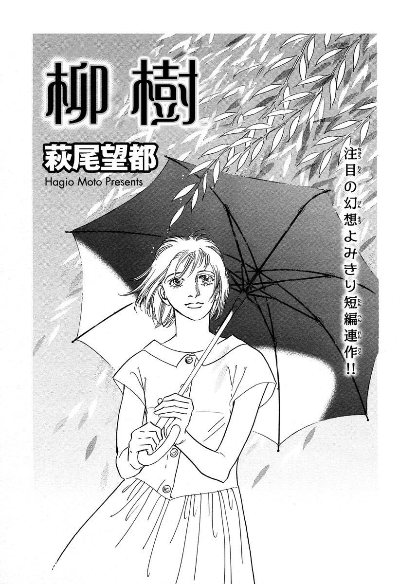 柳树