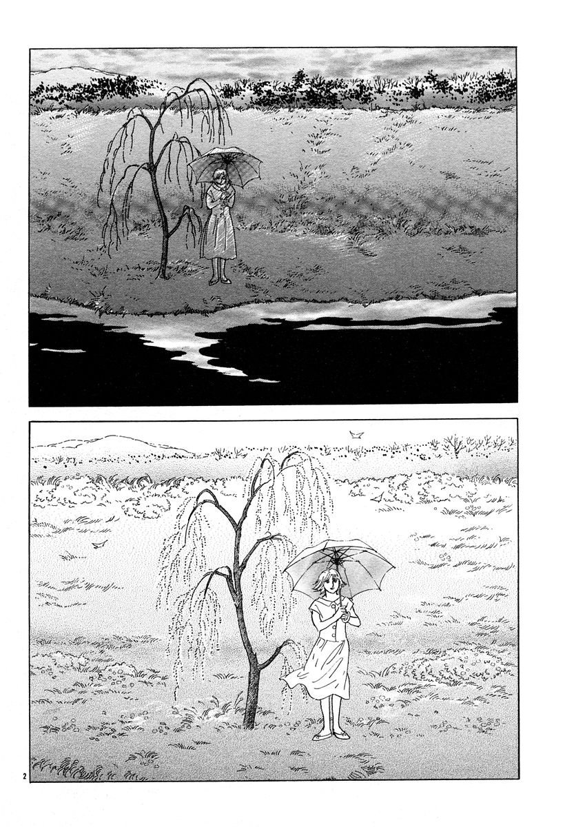 柳树