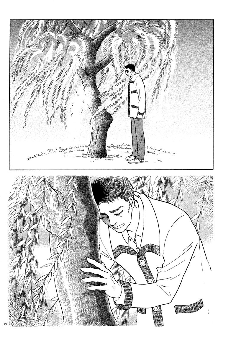 柳树