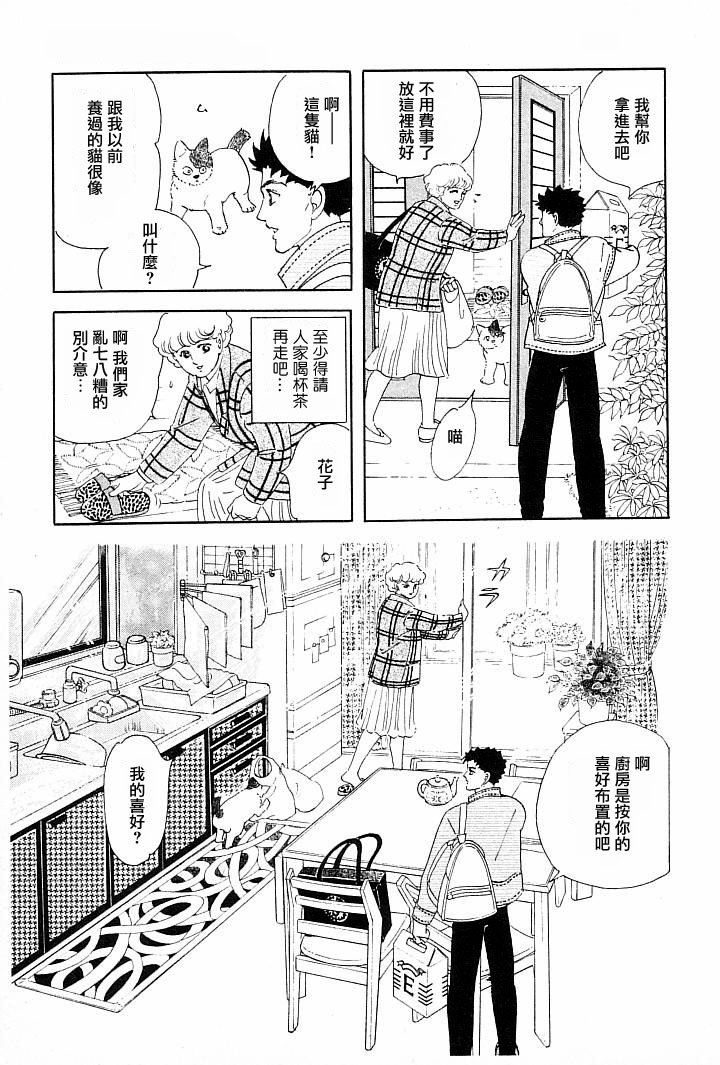 午后的阳光