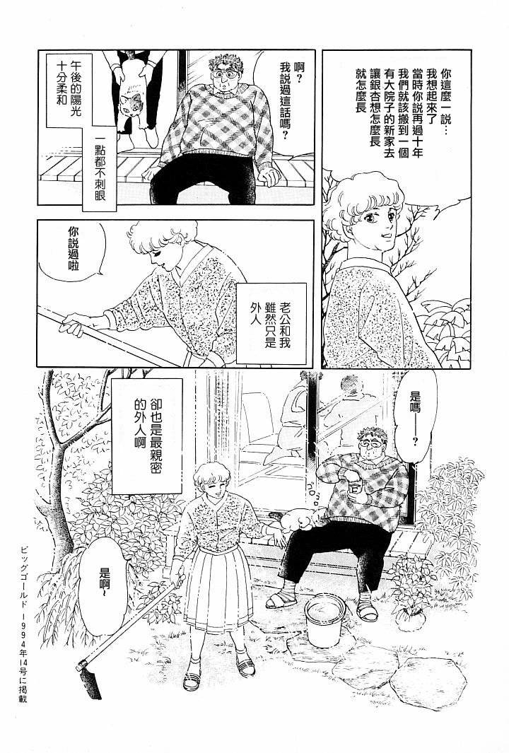 午后的阳光
