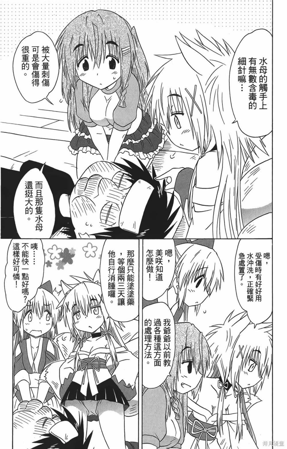 第29卷