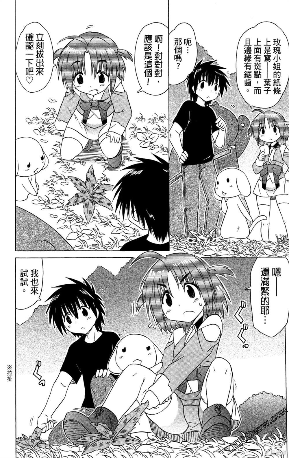 第31卷