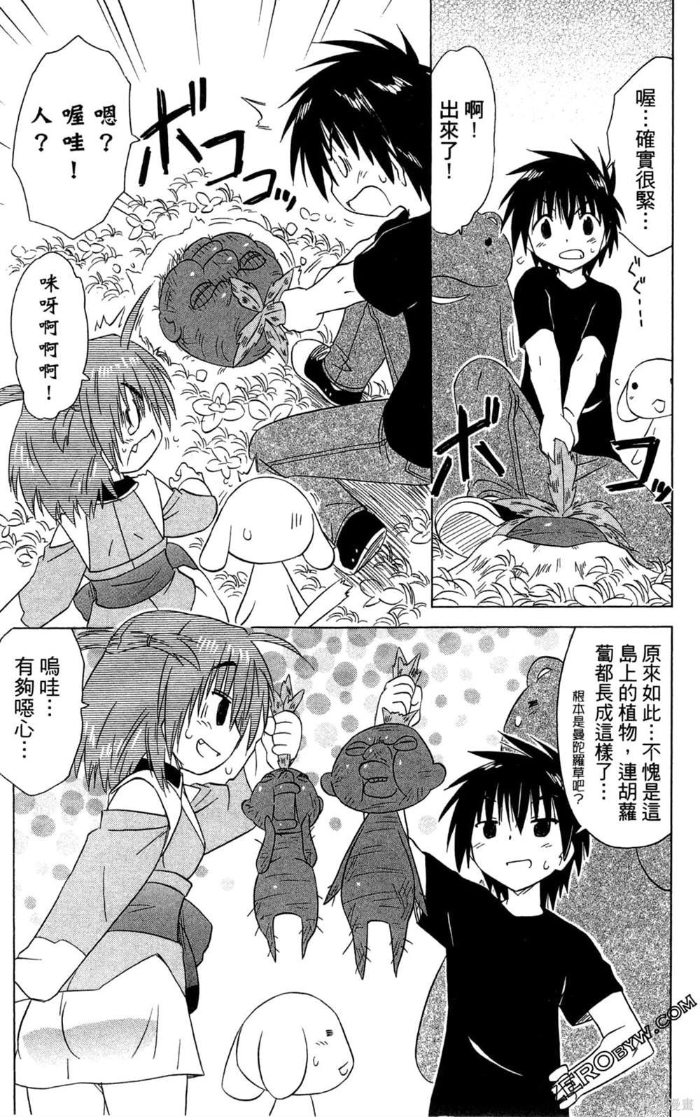 第31卷