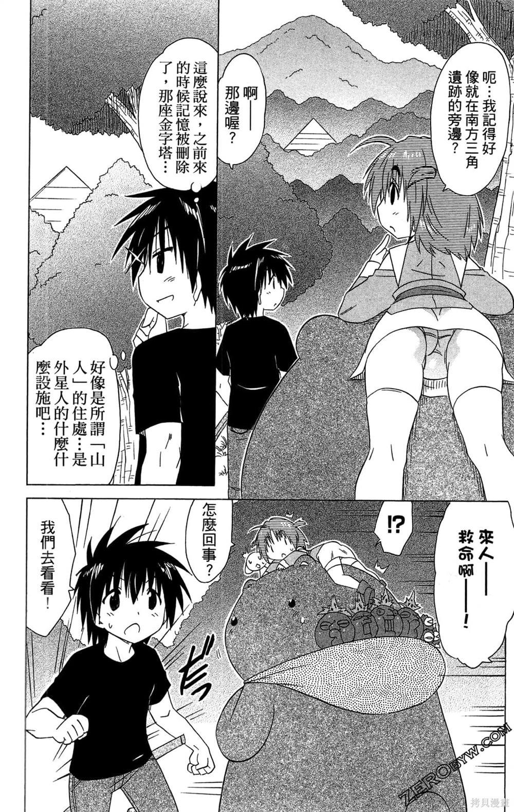 第31卷