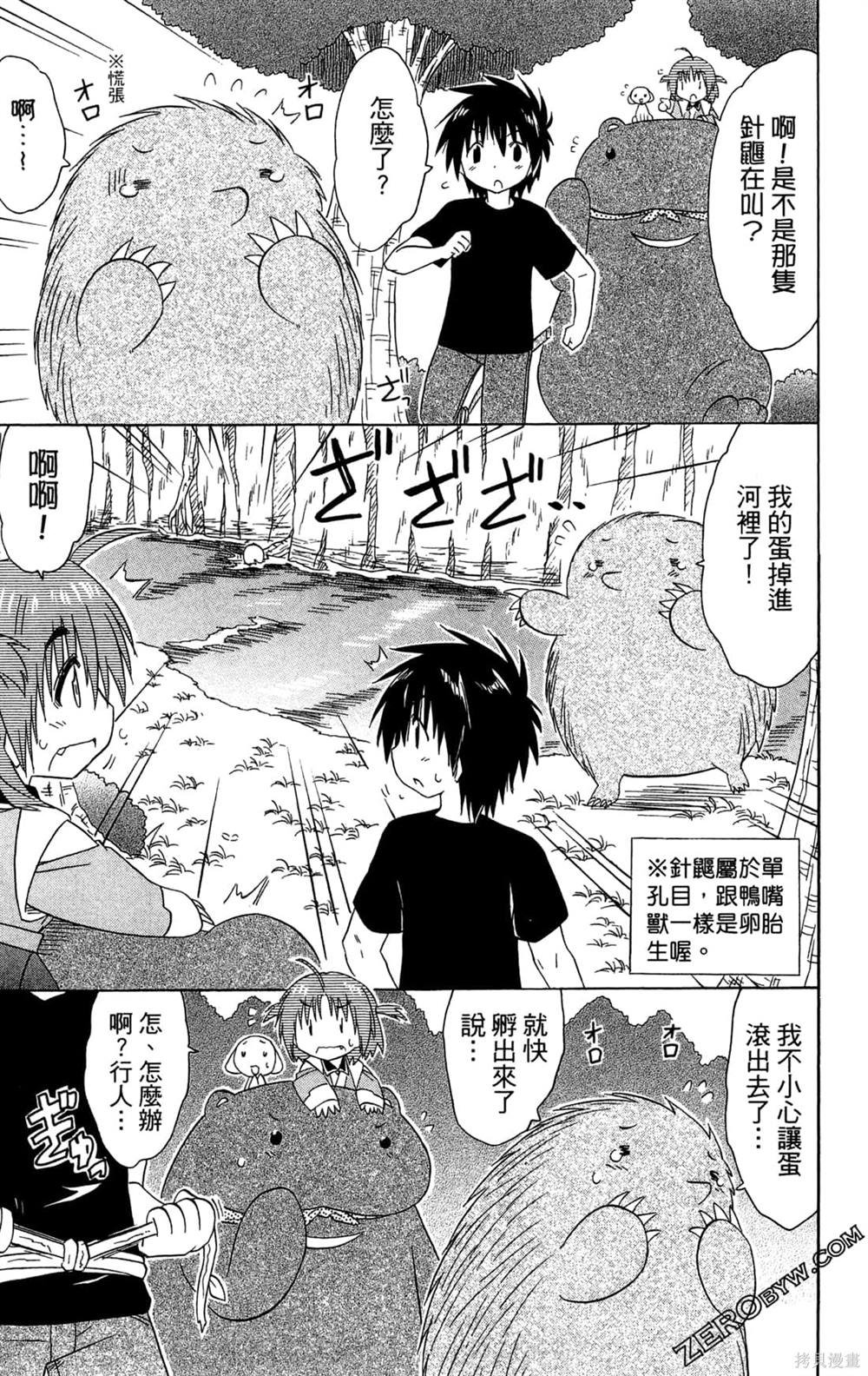 第31卷