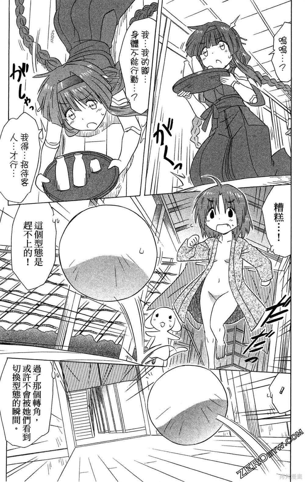 第31卷