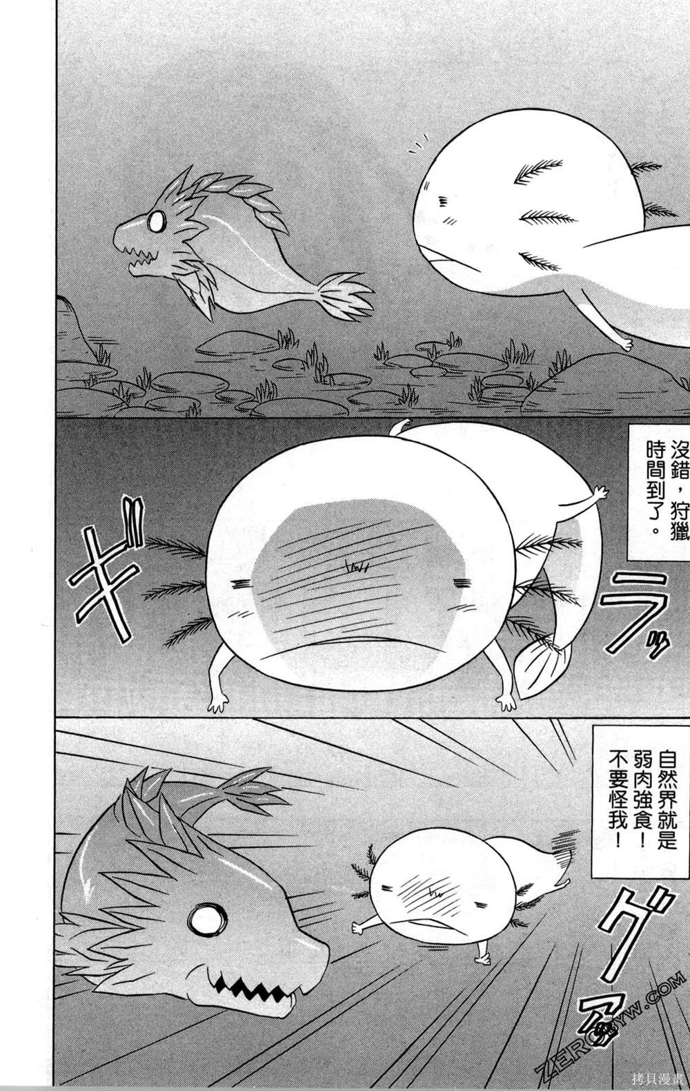 第33卷