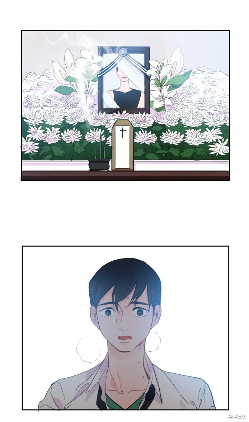 花絮