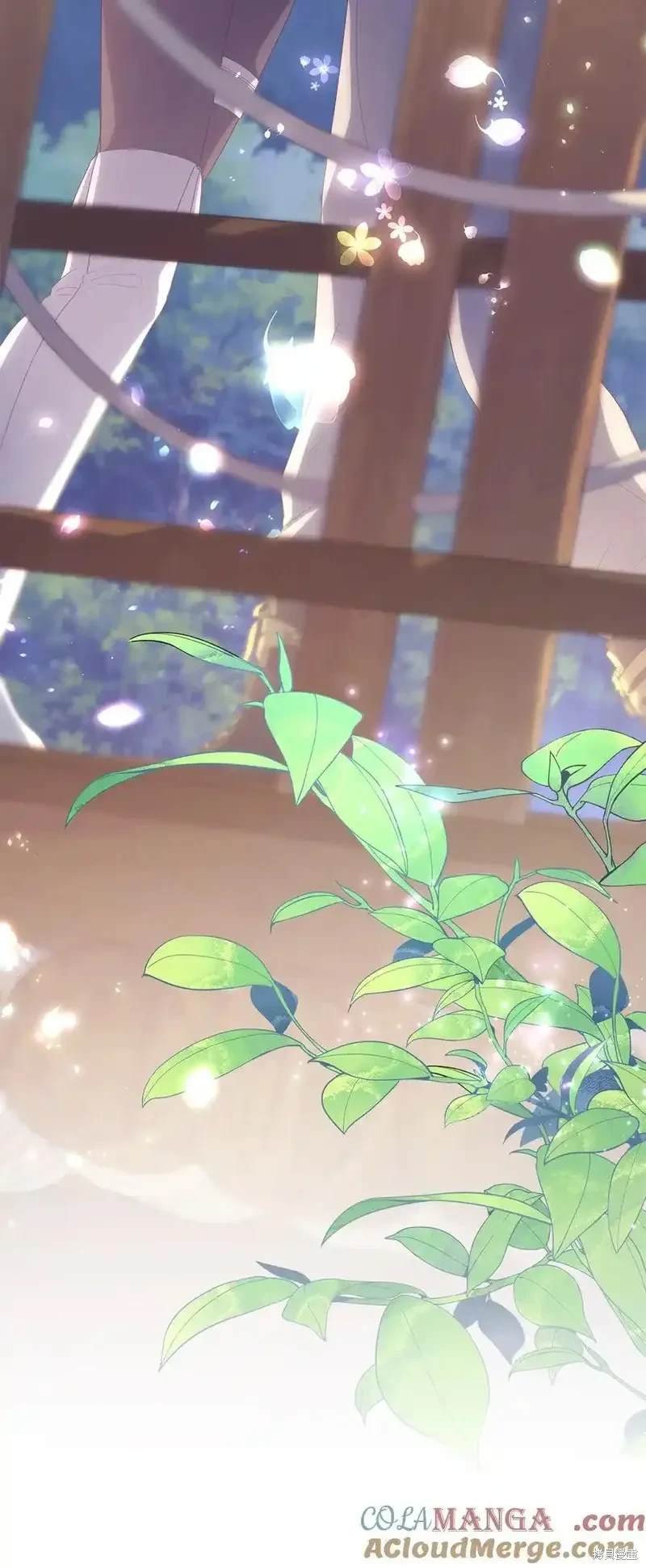 第117话