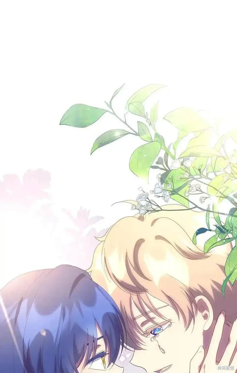 第117话