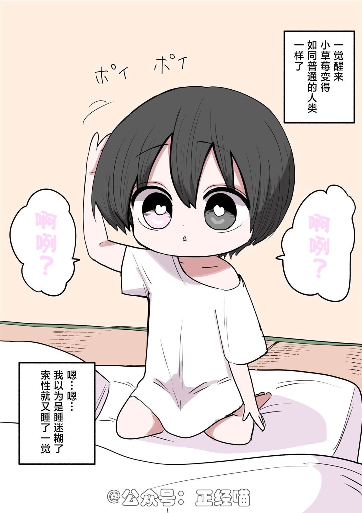混血魅魔与巧克力