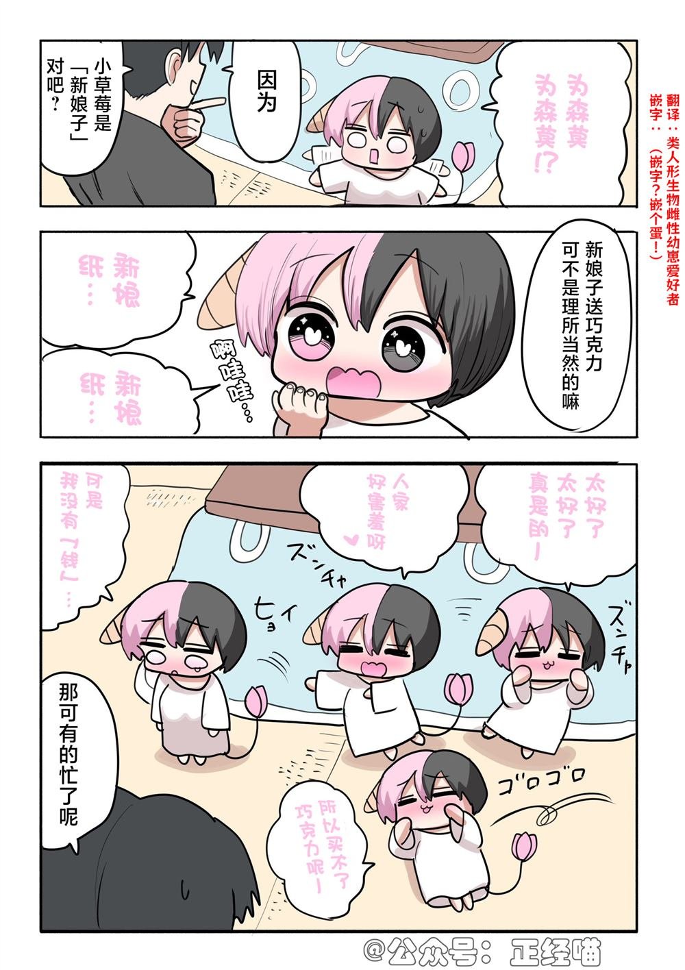混血魅魔与巧克力08