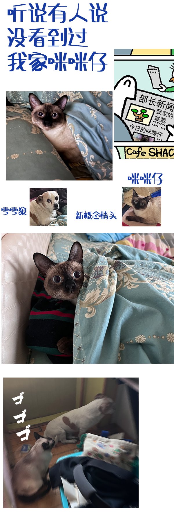 第290话