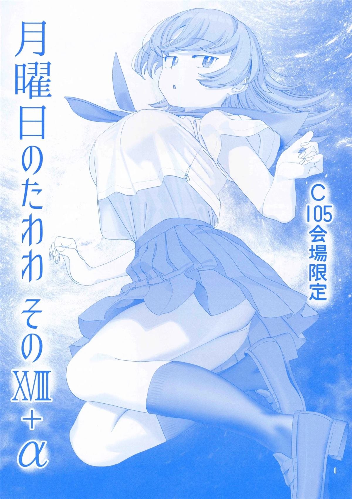 C105附赠小册子