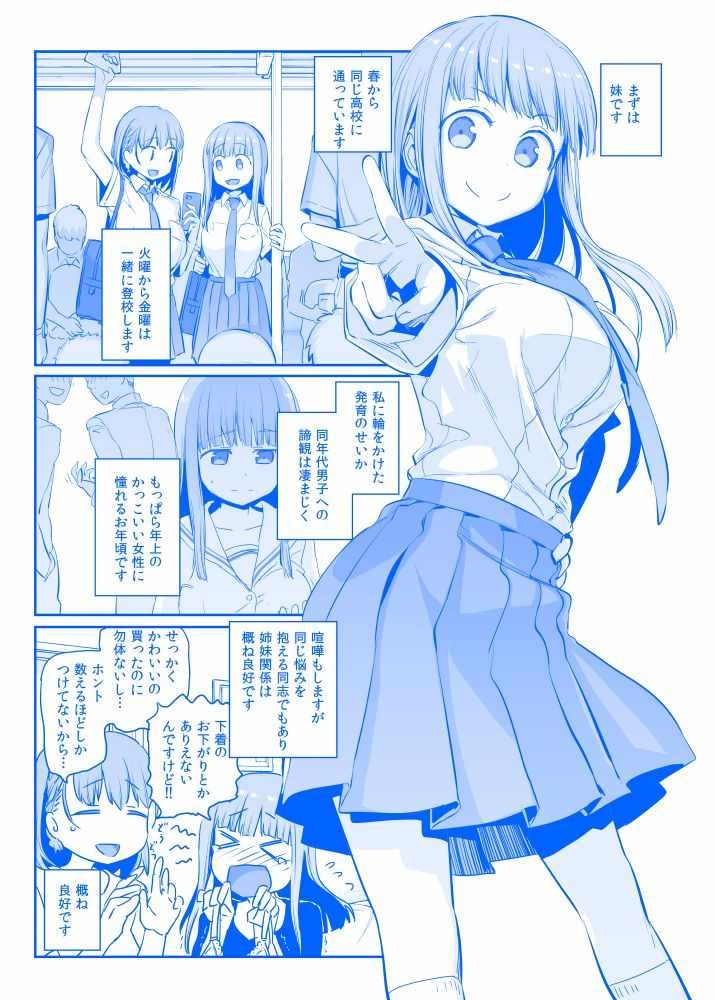 C94预览2