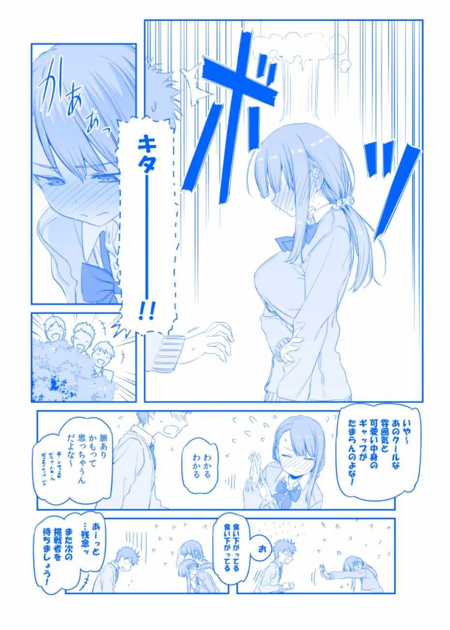 C95预览