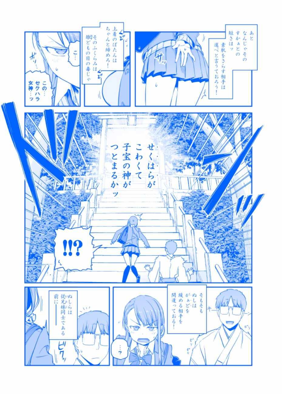 C95预览