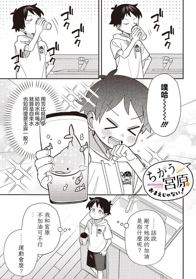 第43.1话