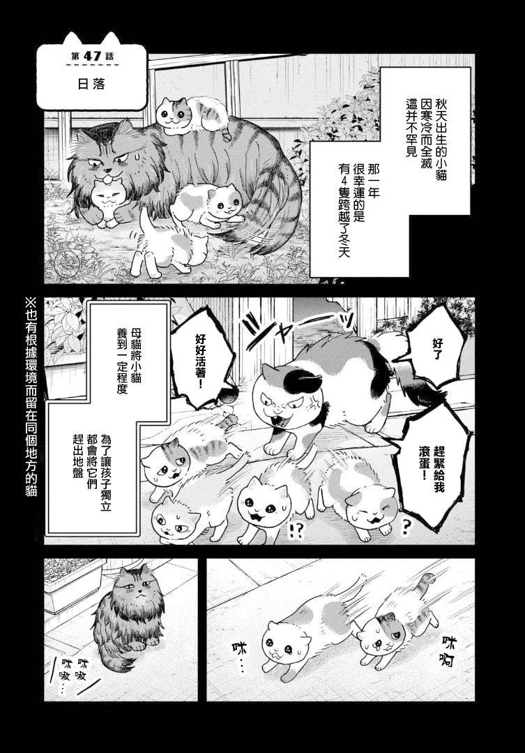 第47话