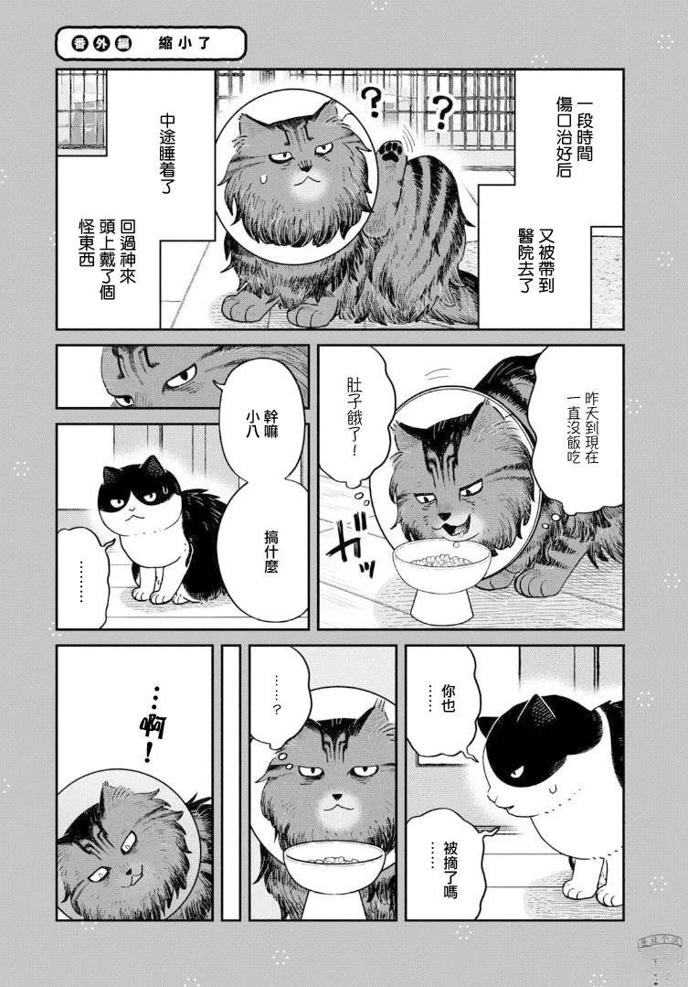 第48.5话
