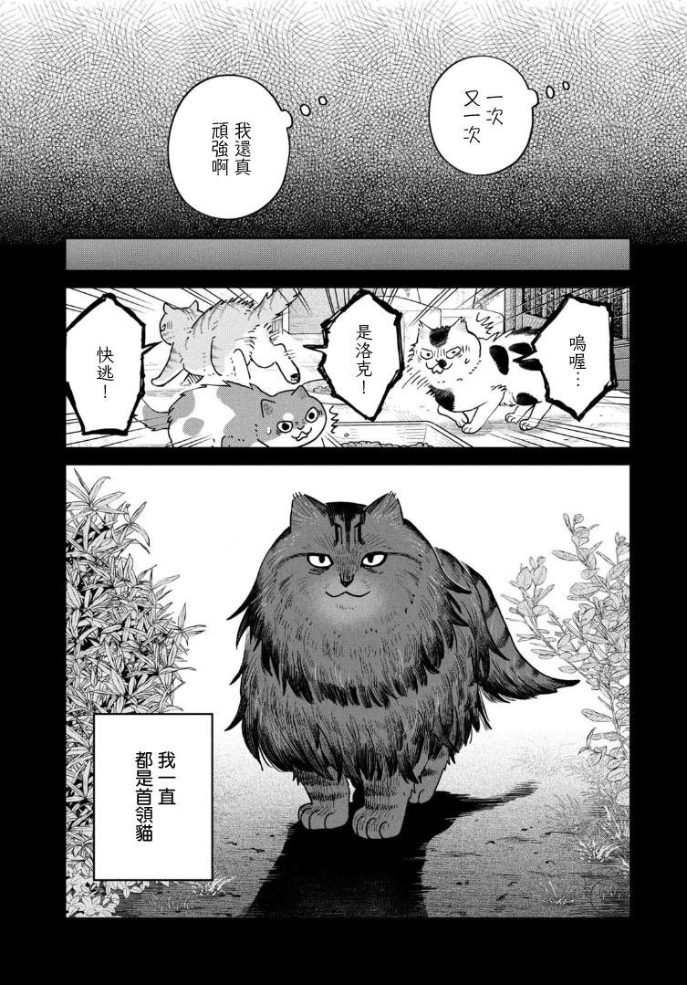 第46话