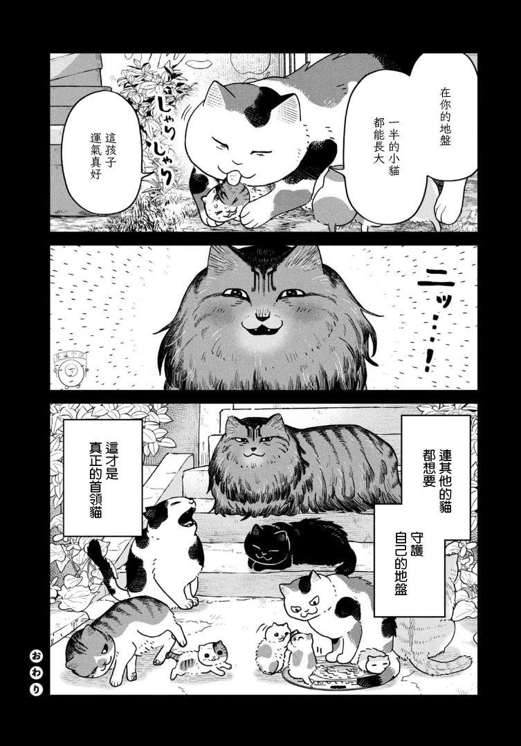 第46话