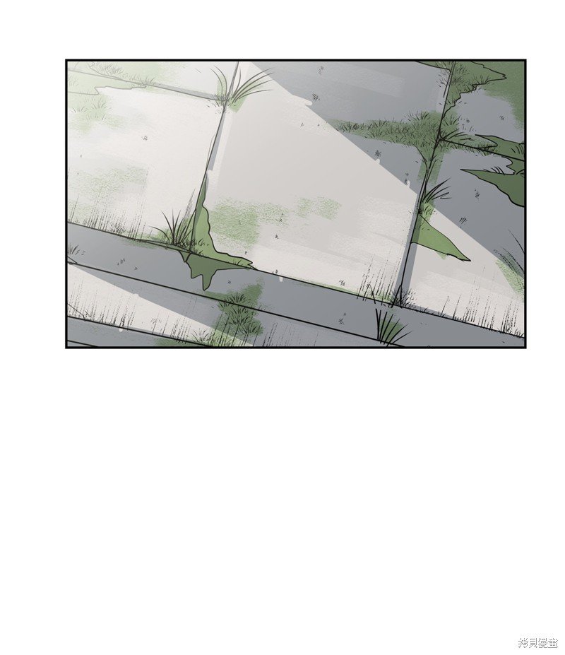 外传